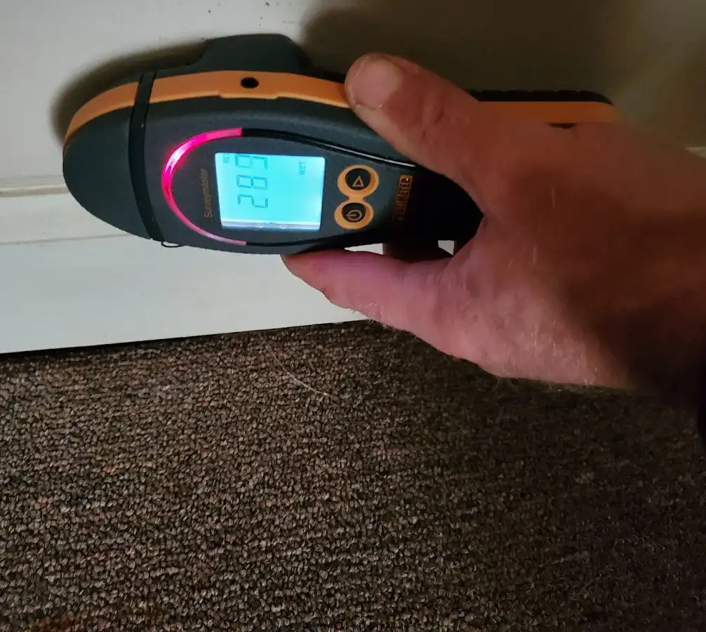 Moisture detection at baseboard during Storm Damage Restoration in Hobart